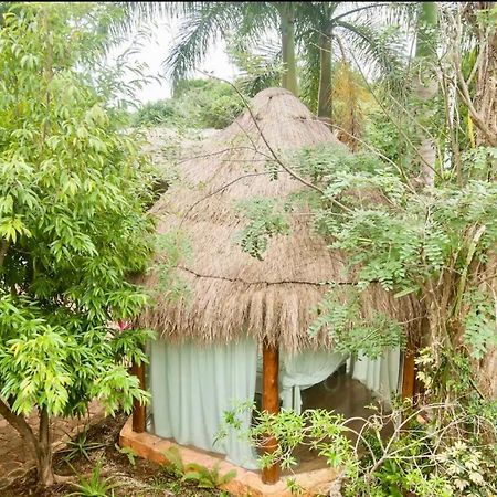 Oma Cancun - Holistic Healing Center מראה חיצוני תמונה