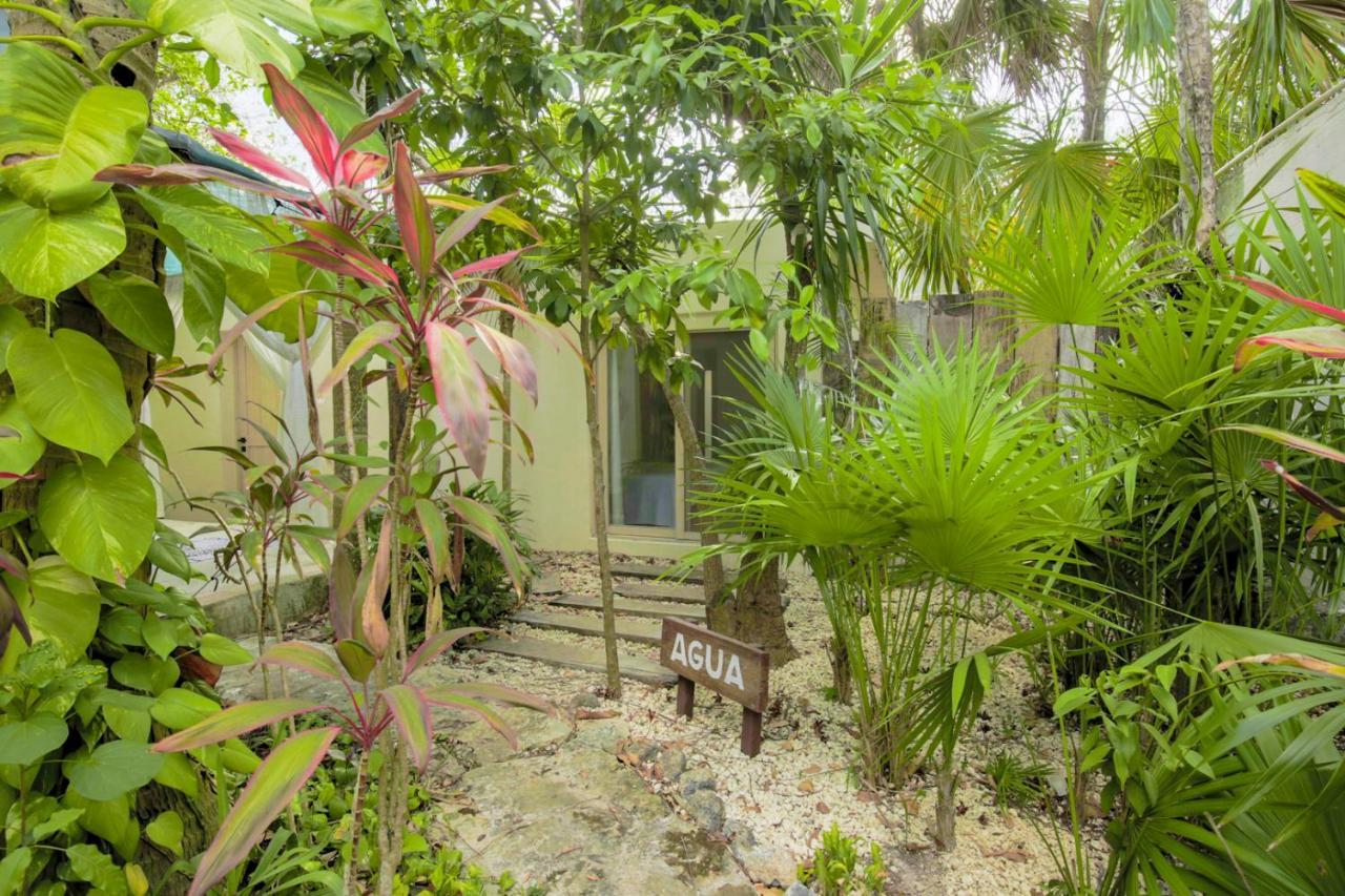 Oma Cancun - Holistic Healing Center מראה חיצוני תמונה