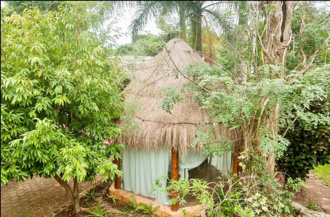 Oma Cancun - Holistic Healing Center מראה חיצוני תמונה