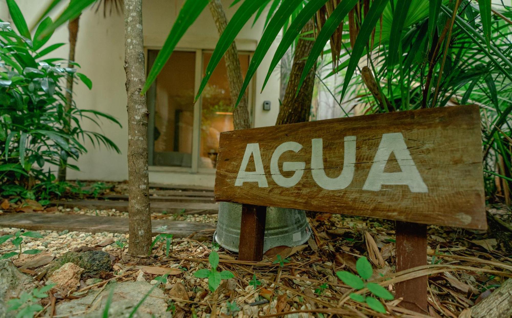 Oma Cancun - Holistic Healing Center מראה חיצוני תמונה