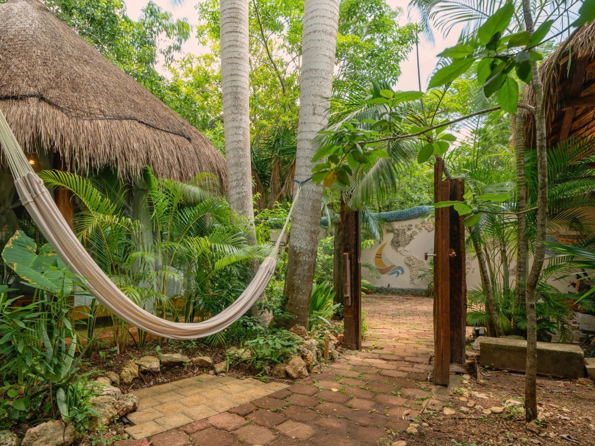Oma Cancun - Holistic Healing Center מראה חיצוני תמונה