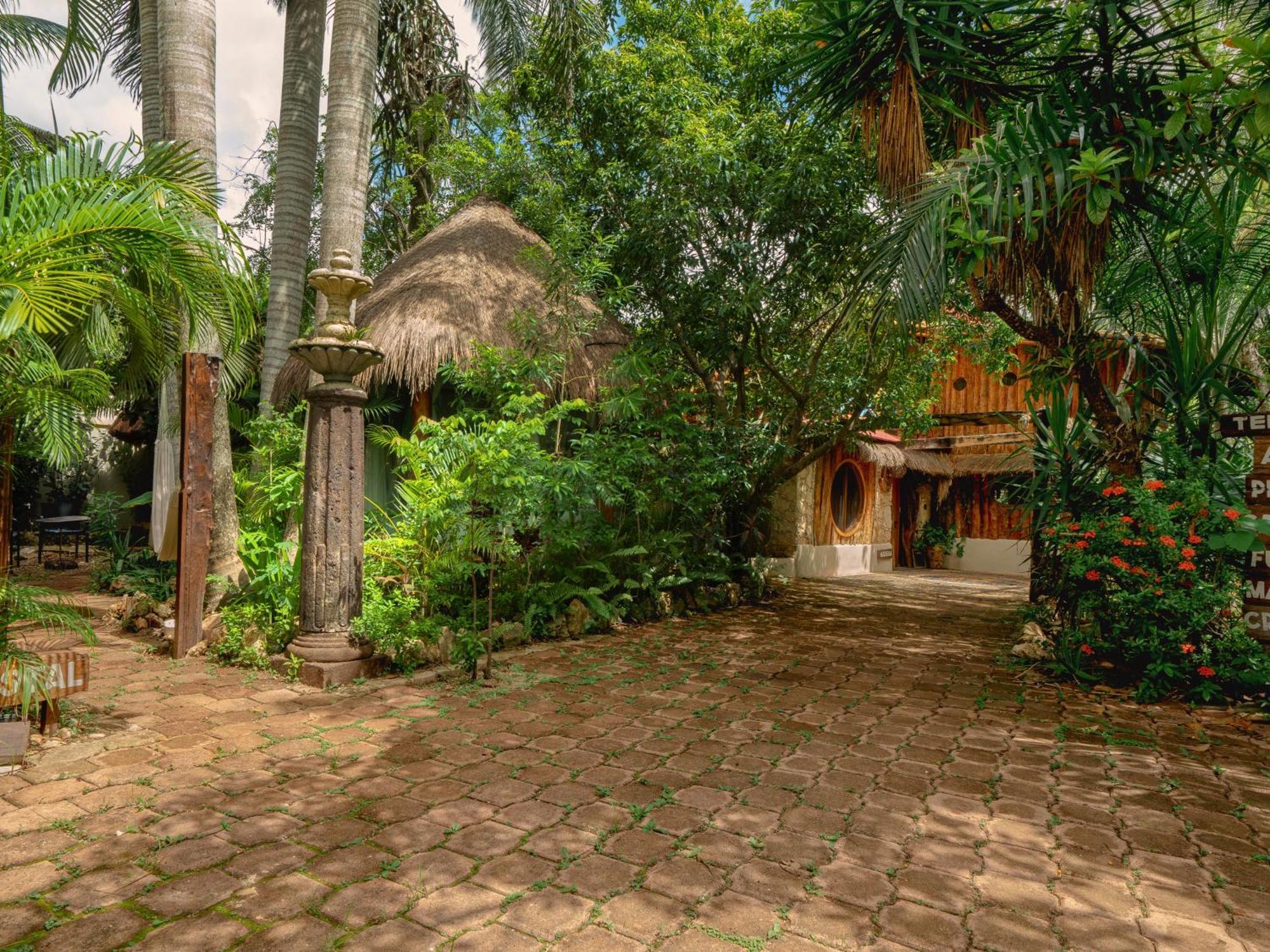 Oma Cancun - Holistic Healing Center מראה חיצוני תמונה